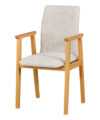 Krzesło tapicerowane | Lana Fotel