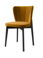 TULIPAN PNG